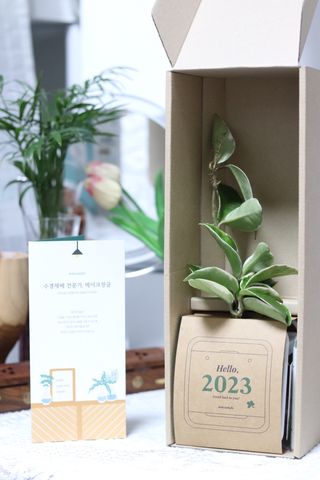[메이크정글] 식물과 달력이 하나로, 2023년 식물캘린더 No.1 — 5점을 준 리뷰어가 2022년 10월 올린 사용 사진