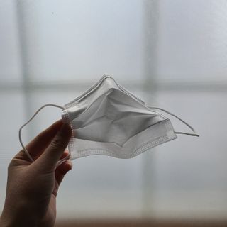LunaHayes님이 올린 리뷰 사진 3