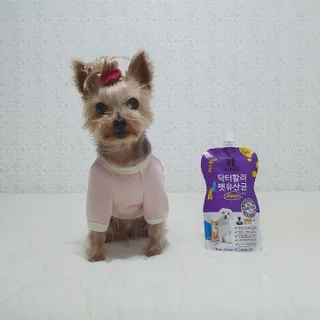 솜희님이 올린 리뷰 사진 1