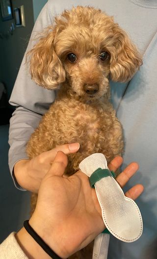 minji님이 올린 리뷰 사진 4