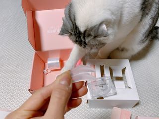 cobemom님이 올린 리뷰 사진 3