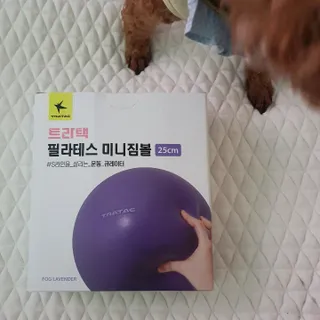 사랑해안시영님이 올린 리뷰 사진 1