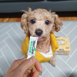 은공님이 올린 리뷰 사진 4