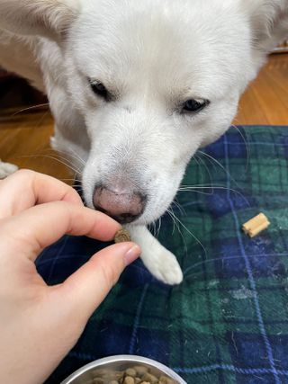 Jenny님이 올린 리뷰 사진 2