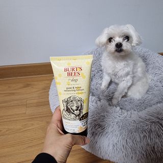 리니님이 올린 리뷰 사진 2