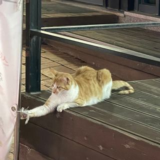 DH님이 올린 리뷰 사진 3