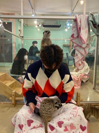이츠미님이 올린 리뷰 사진 1