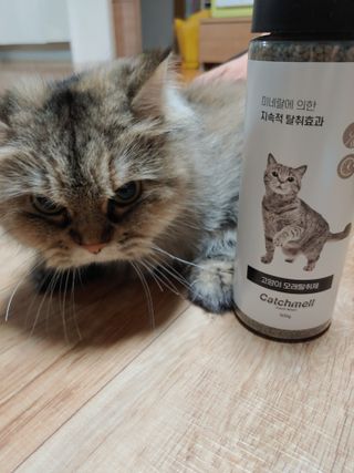 햇님달님님이 올린 리뷰 사진 1