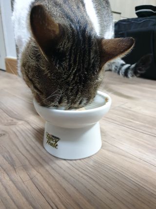 ppang님이 올린 리뷰 사진 3