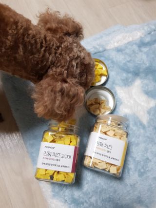 페페로니 진짜 프리바이오틱스 치즈+치즈고구마 180g+180g — 5점을 준 리뷰어가 2021년 7월 올린 사용 사진
