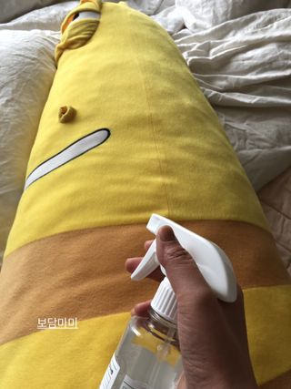 쓰담쓰담님이 올린 리뷰 사진 3