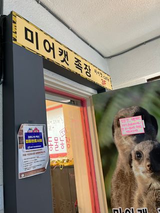 Zenithhappy님이 올린 리뷰 사진 4