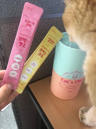 페페로니 잘 먹는 캣츄 - 무항생제 닭고기 12개 + 알래스카 연어 12개 — 5점을 준 리뷰어가 2021년 7월 올린 사용 사진