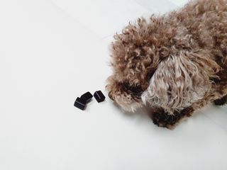 달콤오기님이 올린 리뷰 사진 3