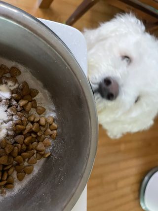 따응님이 올린 리뷰 사진 4