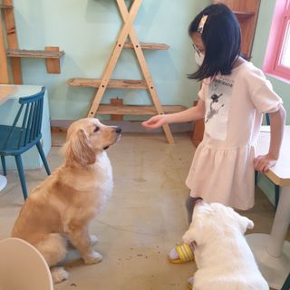 플리어님이 올린 리뷰 사진 2