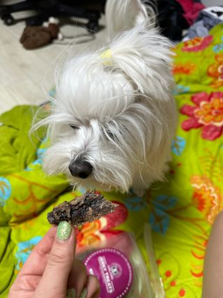 보리뉴냐님이 올린 리뷰 사진 2
