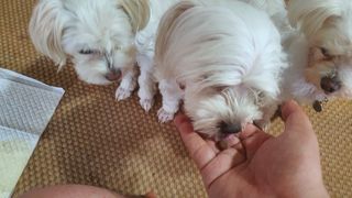공팔리터님이 올린 리뷰 사진 3