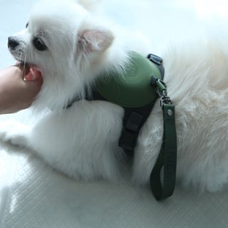 털털미녀님이 올린 리뷰 사진 3