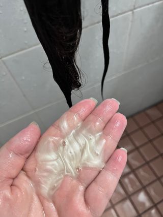 프리마인 더이상 뻣뻣하고 효과없는 탈모샴푸는 NO. 근본부터 케어하는 셀베이스 그린티샴푸(500ml) — 5점을 준 리뷰어가 2023년 3월 올린 사용 사진