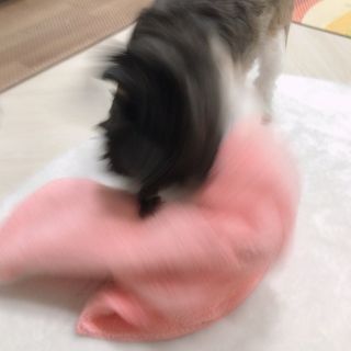 민지1985님이 올린 리뷰 사진 3