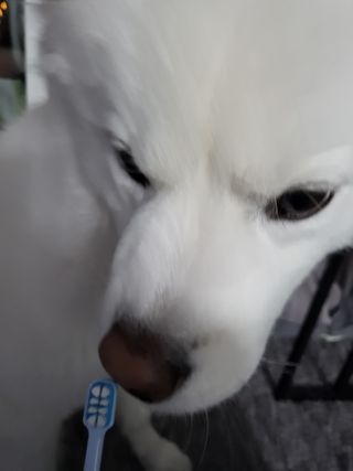 kay님이 올린 리뷰 사진 3