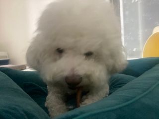 갱스님이 올린 리뷰 사진 2