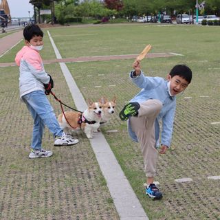 뚜기님이 올린 리뷰 사진 1