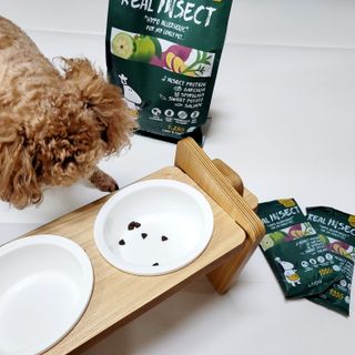 [푸디웜] 라포그  리얼인섹트 웨이트밸런스 저알러지 강아지 사료  1.2KG — 5점을 준 리뷰어가 2021년 7월 올린 사용 사진