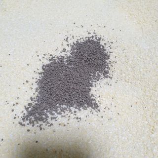 숑굥님이 올린 리뷰 사진 3