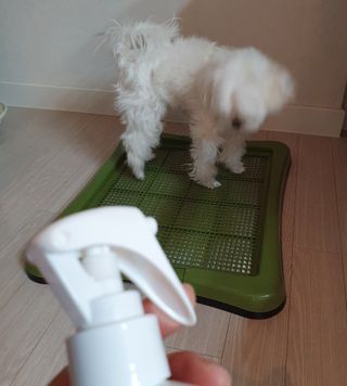 hosu.1230님이 올린 리뷰 사진 2