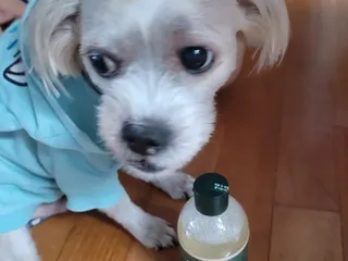 sdisksi님이 올린 리뷰 사진 3