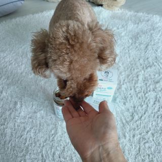 복깨비님이 올린 리뷰 사진 3
