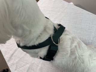 벨라님이 올린 리뷰 사진 3