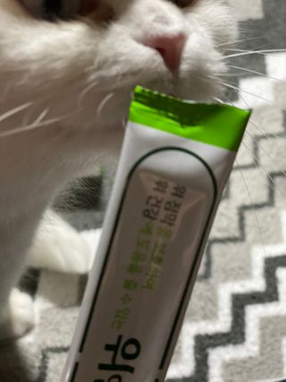 화이집사님이 올린 리뷰 사진 3