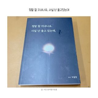 가을봉숙 정말잘지내나요사실난울고있는데 — 4점을 준 리뷰어가 2022년 6월 올린 사용 사진