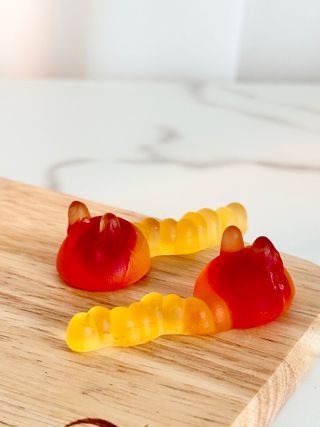 도토리님이 올린 리뷰 사진 3