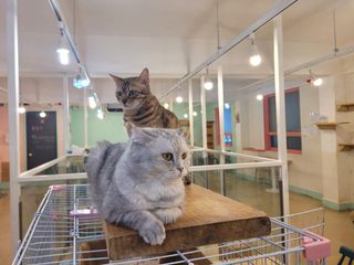 퓨리아님이 올린 리뷰 사진 2