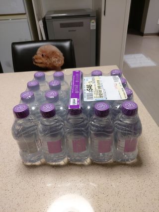 몽베스트 [MONTBEST] 330mL 20병 — 5점을 준 리뷰어가 2021년 10월 올린 사용 사진