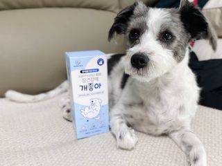 이용이융님이 올린 리뷰 사진 4