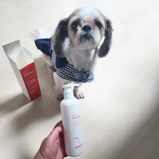 [댕모어 샴푸 2종] 댕샴푸 / 퍼피샴푸  2종 세트 (300ml) — 5점을 준 리뷰어가 2023년 10월 올린 사용 사진