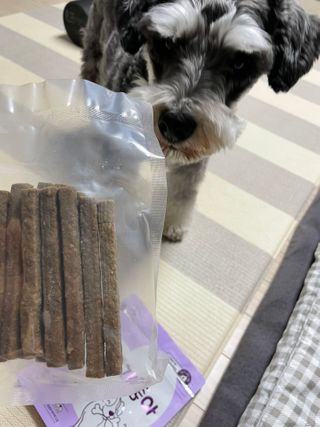 My Pet Care 천연단백질 치아건강에 개좋아 — 5점을 준 리뷰어가 2021년 1월 올린 사용 사진
