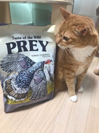 오필리뷰님이 올린 리뷰 사진 1