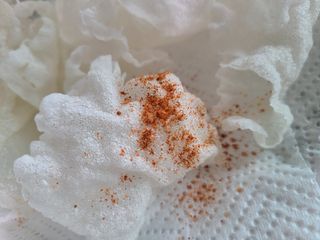 [서울시스터즈] 김치시즈닝 국내 최초 뿌려먹는 김치파우더 100g 1개+ 신제품 김치스낵 90g 2개 — 5점을 준 리뷰어가 2021년 8월 올린 사용 사진