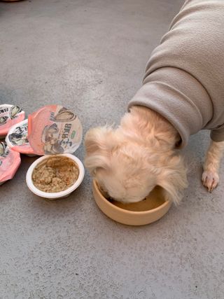maybeee님이 올린 리뷰 사진 3