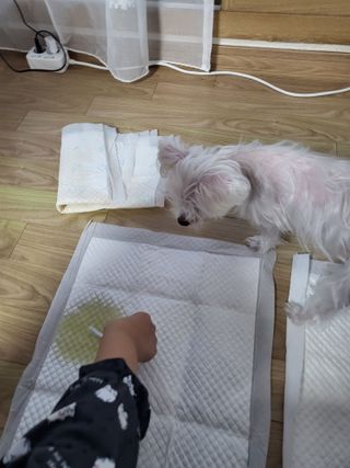 마이쭈님이 올린 리뷰 사진 2