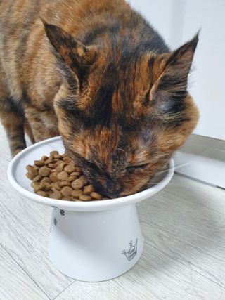 천도님이 올린 리뷰 사진 4