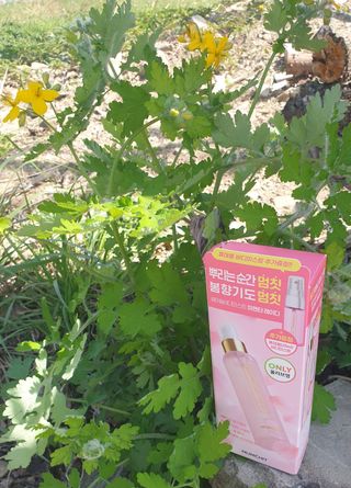 멈칫(MUMCHIT) 멈칫 마젠타레이디 기획 set — 5점을 준 리뷰어가 2022년 4월 올린 사용 사진