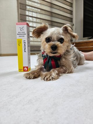 윤복댕님이 올린 리뷰 사진 3