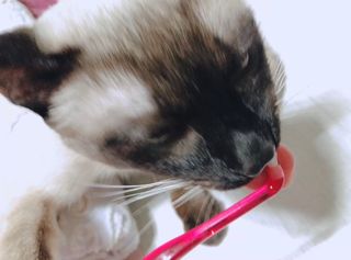 모닝스타님이 올린 리뷰 사진 4
